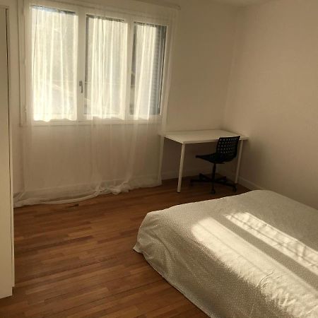 Grenoble Joli Appartement ภายนอก รูปภาพ